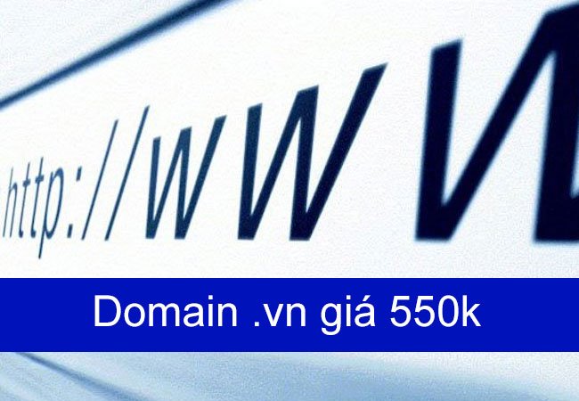 Domain .VN giá 550k