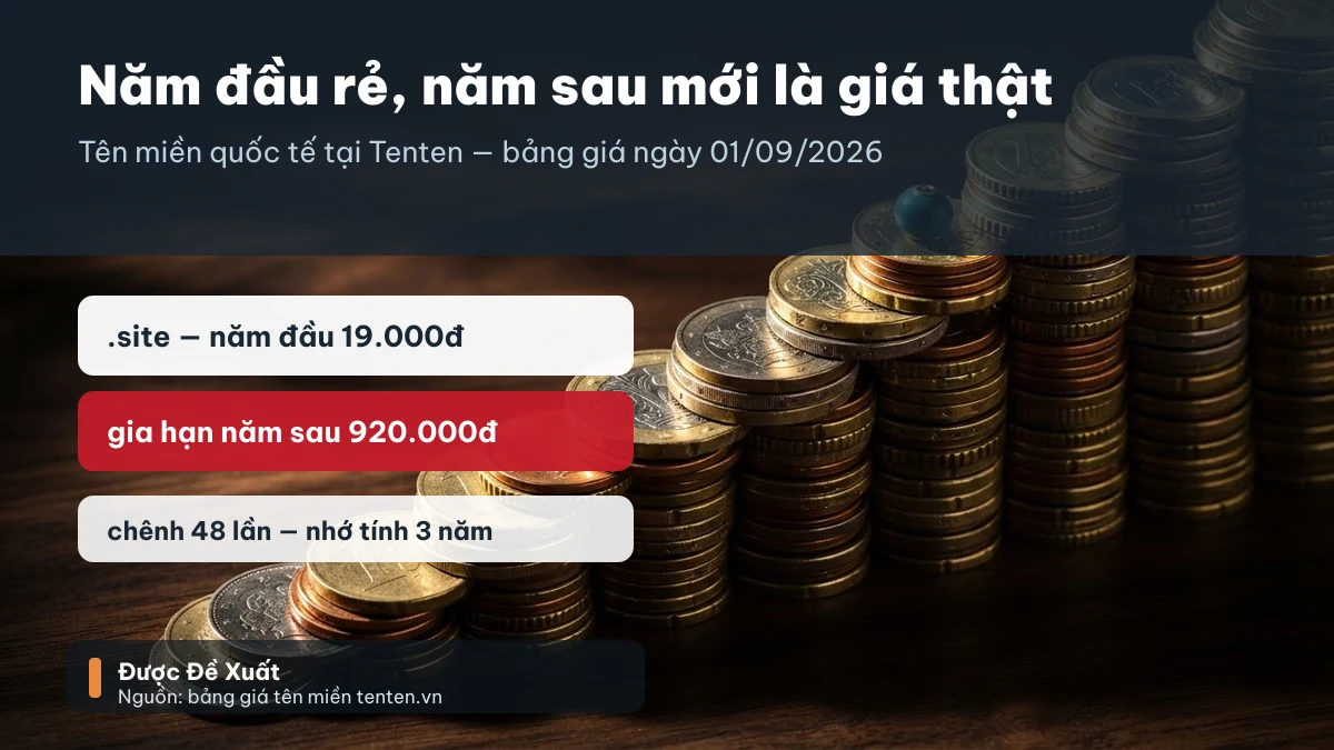 So sánh giá tên miền Tenten năm đầu 19.000đ và giá gia hạn 920.000đ mỗi năm