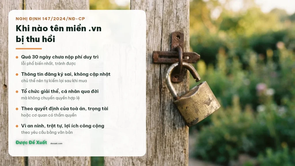 Các trường hợp tên miền .vn bị thu hồi theo Nghị định 147/2024/NĐ-CP