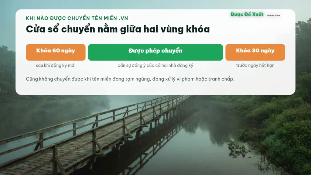 Thời điểm được chuyển nhà đăng ký tên miền .vn: sau 60 ngày đăng ký và trước 30 ngày hết hạn